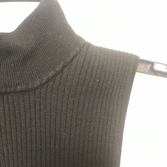 Mock Neck Sleeveless Turtleneck - Picture 1 of 8